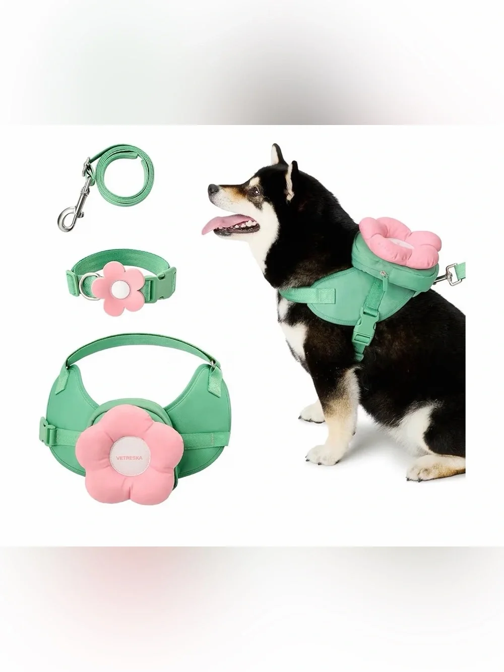 Xtra-Small VETRESKA Mint and Pink Flower Harness, Leash & Collar Set